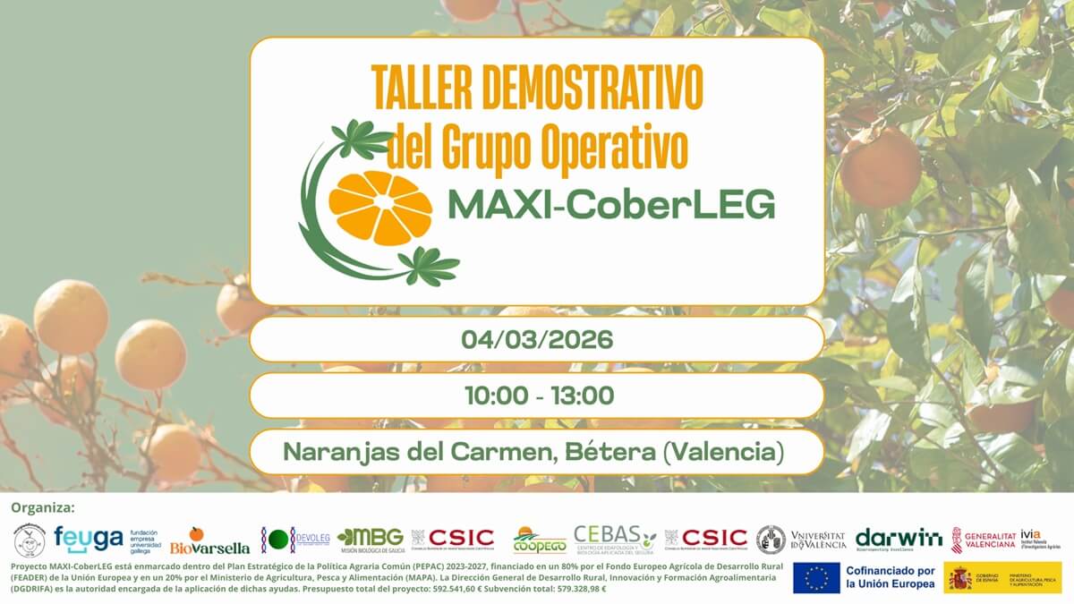 MAXI-CoberLEG presenta en Valencia avances para mejorar la sostenibilidad del cultivo de cítricos mediante cubiertas vegetales con altramuz (1).jpg